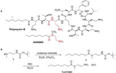 Gcn5-Related N-Acetyltransferases (GNATs) With a Catalytic Serine Residue Can Play Ping-Pong Too